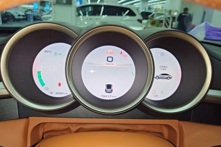Used ORA Lightning Cat 2022 555 km Luxury Edition Instrument Cluster