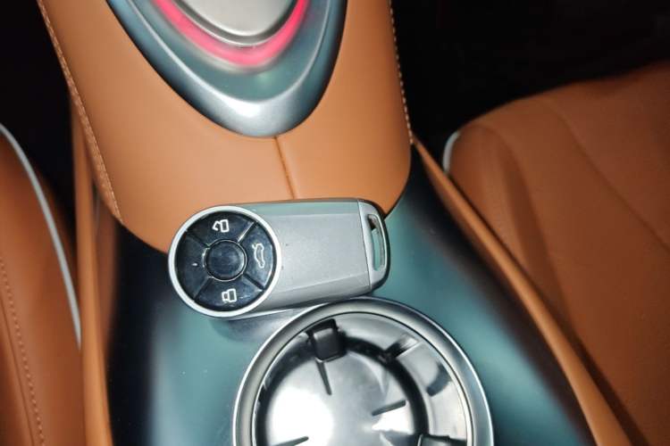 Used ORA Lightning Cat 2022 555 km Luxury Edition Interior 1