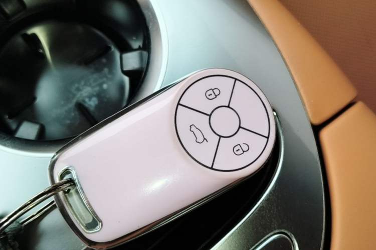 Used ORA Lightning Cat 2022 555 km Luxury Edition Interior 1