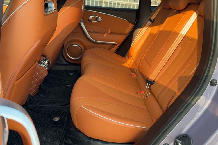 Used ORA Lightning Cat 2022 555 km Luxury Edition Interior 1