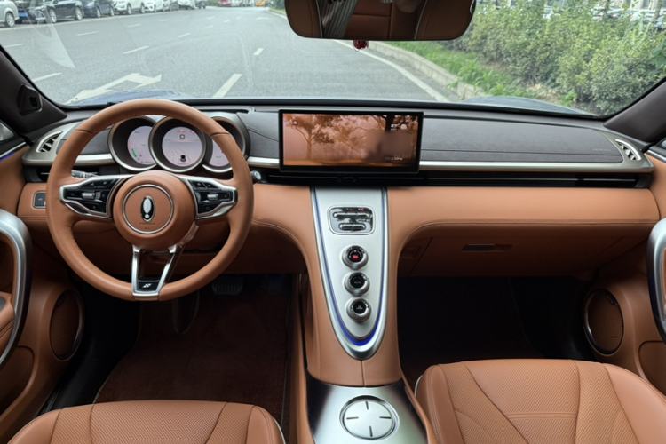 Used ORA Lightning Cat 2022 555 km Luxury Edition Interior 1