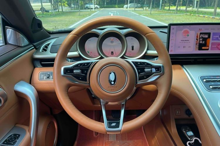 Used ORA Lightning Cat 2022 555 km Luxury Edition Interior 2