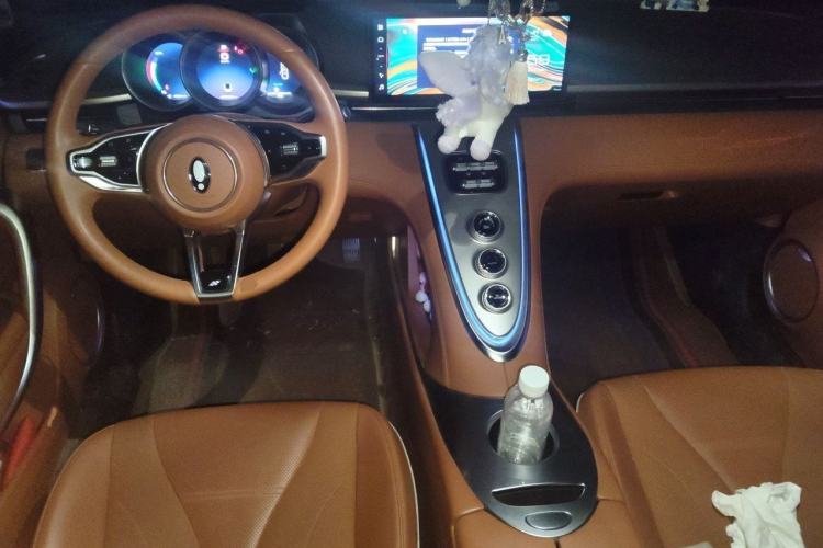 Used ORA Lightning Cat 2022 555 km Luxury Edition Interior 2