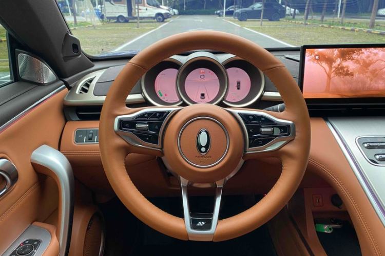 Used ORA Lightning Cat 2022 555 km Luxury Edition Interior 3
