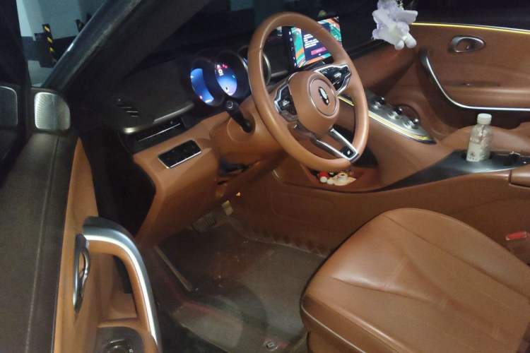 Used ORA Lightning Cat 2022 555 km Luxury Edition Interior 3