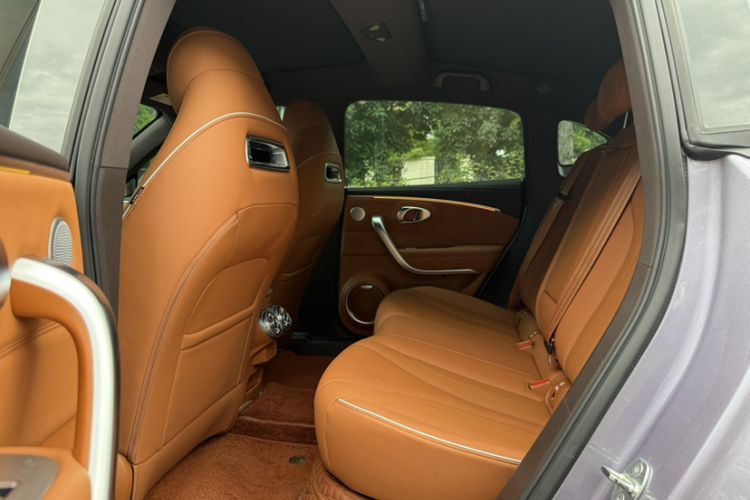 Used ORA Lightning Cat 2022 555 km Luxury Edition Interior 3