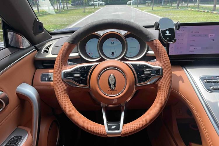 Used ORA Lightning Cat 2022 555 km Luxury Edition Interior 3