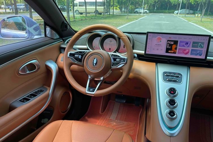 Used ORA Lightning Cat 2022 555 km Luxury Edition Interior 4