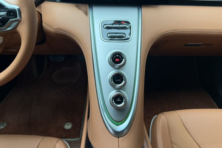 Used ORA Lightning Cat 2022 555 km Luxury Edition Interior 4