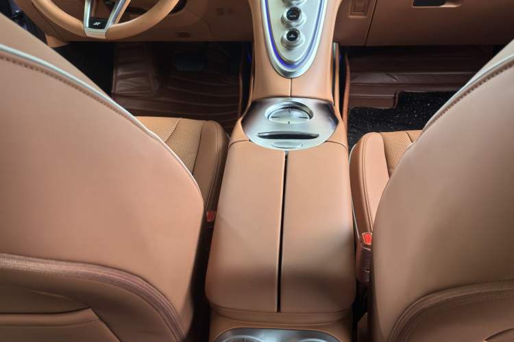 Used ORA Lightning Cat 2022 555 km Luxury Edition Interior 4