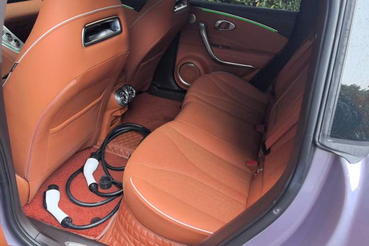 Used ORA Lightning Cat 2022 555 km Luxury Edition Interior 4