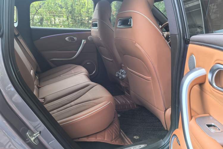 Used ORA Lightning Cat 2022 555 km Luxury Edition Interior 6