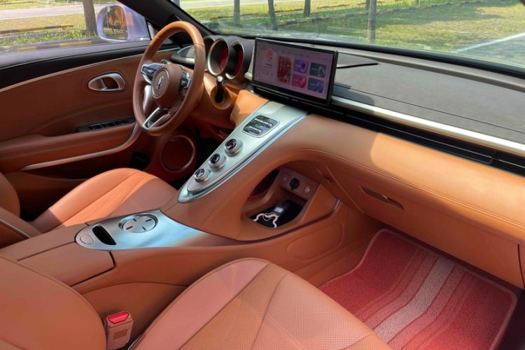 Used ORA Lightning Cat 2022 555 km Luxury Edition Interior 7
