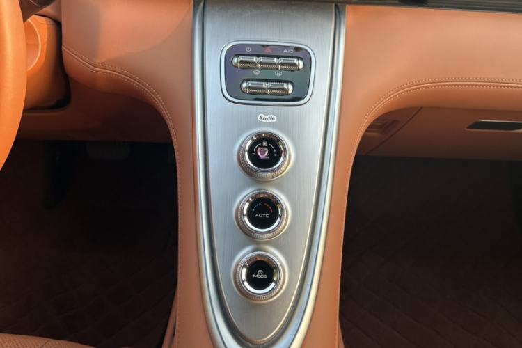 Used ORA Lightning Cat 2022 555 km Luxury Edition Interior 8