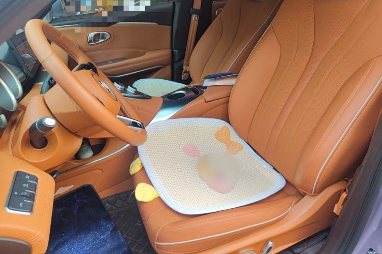 Used ORA Lightning Cat 2022 555 km Luxury Edition Left Front Seat