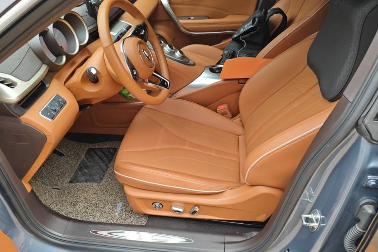 Used ORA Lightning Cat 2022 555 km Luxury Edition Left Front Seat