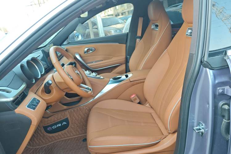 Used ORA Lightning Cat 2022 555 km Luxury Edition Left Front Seat