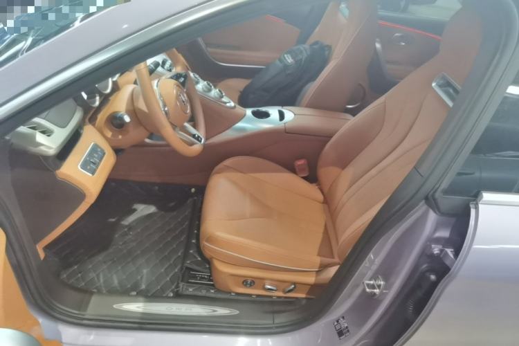 Used ORA Lightning Cat 2022 555 km Luxury Edition Left Front Seat