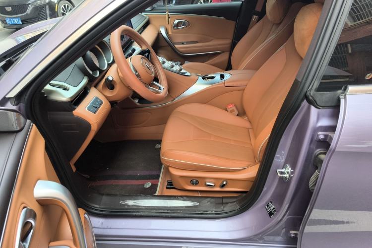 Used ORA Lightning Cat 2022 555 km Luxury Edition Left Front Seat