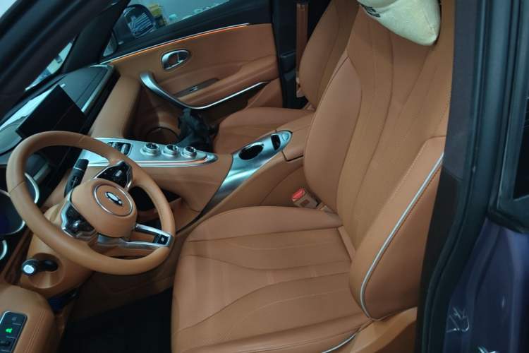 Used ORA Lightning Cat 2022 555 km Luxury Edition Left Front Seat