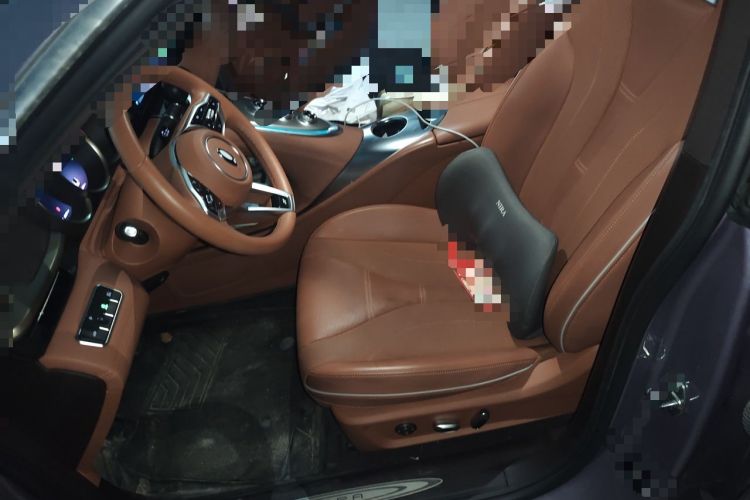 Used ORA Lightning Cat 2022 555 km Luxury Edition Left Front Seat