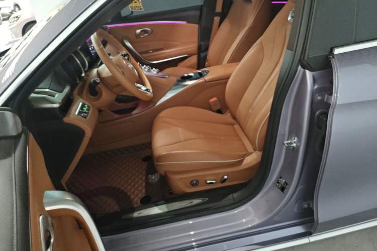 Used ORA Lightning Cat 2022 555 km Luxury Edition Left Front Seat