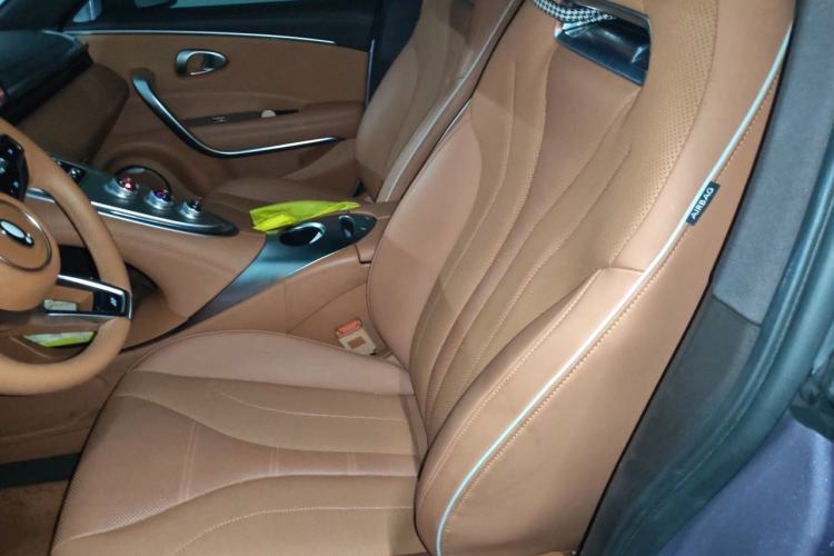 Used ORA Lightning Cat 2022 555 km Luxury Edition Left Front Seat