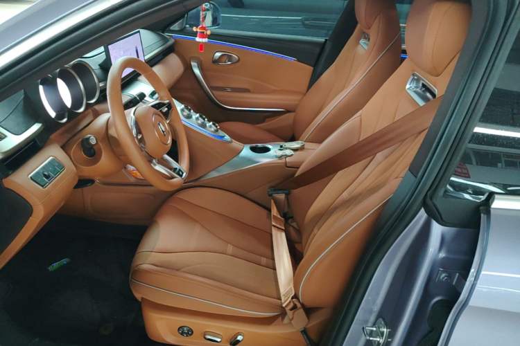 Used ORA Lightning Cat 2022 555 km Luxury Edition Left Front Seat
