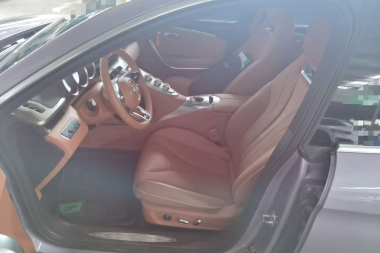 Used ORA Lightning Cat 2022 555 km Luxury Edition Left Front Seat
