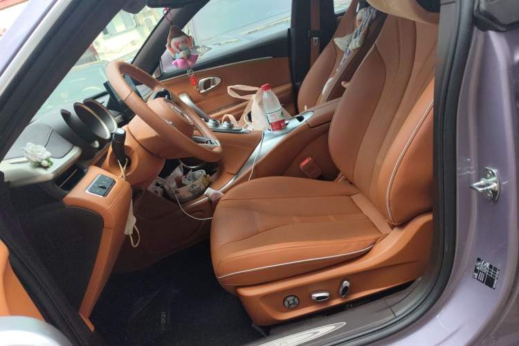Used ORA Lightning Cat 2022 555 km Luxury Edition Left Front Seat