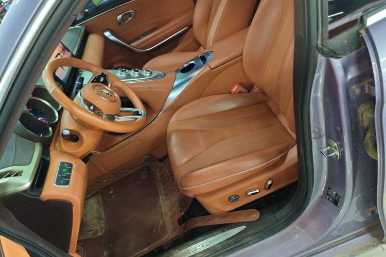 Used ORA Lightning Cat 2022 555 km Luxury Edition Left Front Seat