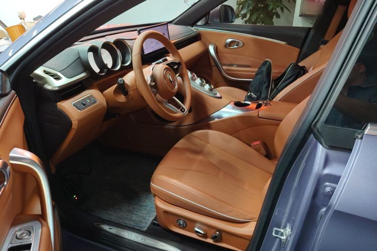 Used ORA Lightning Cat 2022 555 km Luxury Edition Left Front Seat