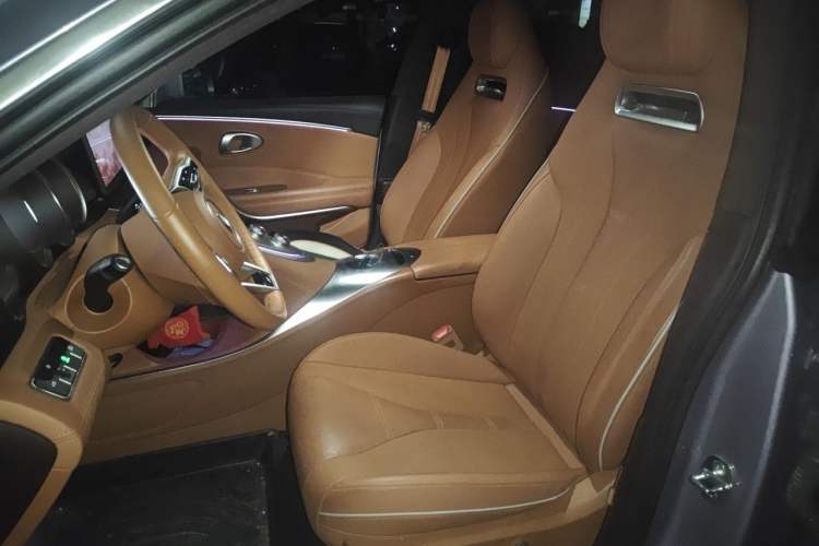 Used ORA Lightning Cat 2022 555 km Luxury Edition Left Front Seat