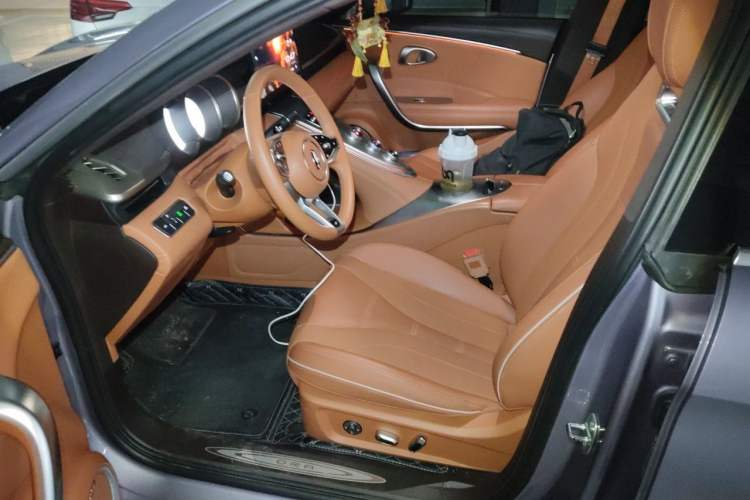 Used ORA Lightning Cat 2022 555 km Luxury Edition Left Front Seat