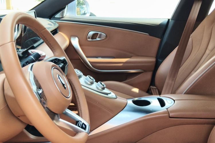 Used ORA Lightning Cat 2022 555 km Luxury Edition Left Front Seat