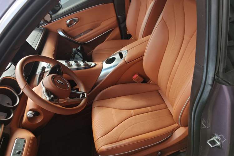 Used ORA Lightning Cat 2022 555 km Luxury Edition Left Front Seat