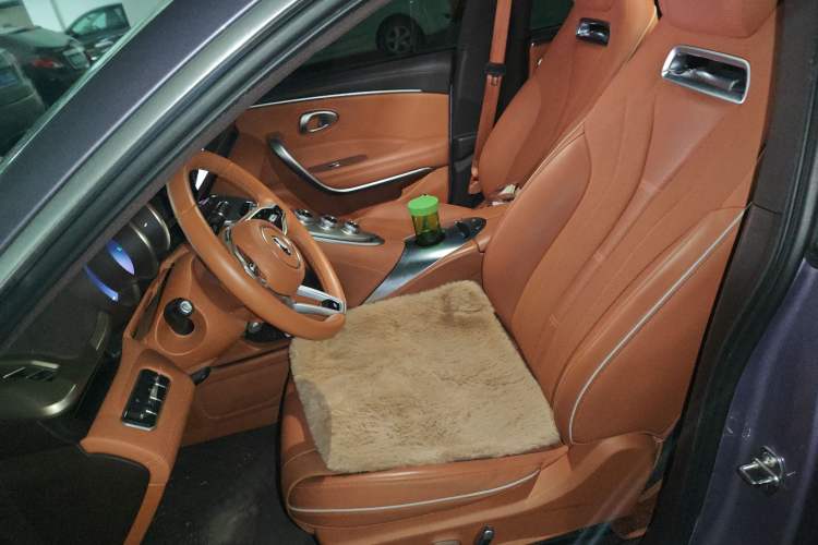 Used ORA Lightning Cat 2022 555 km Luxury Edition Left Front Seat