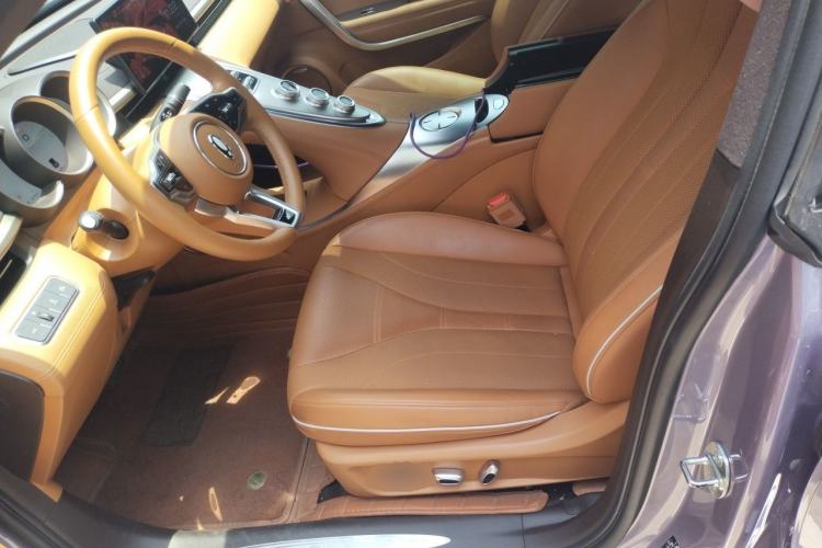 Used ORA Lightning Cat 2022 555 km Luxury Edition Left Front Seat