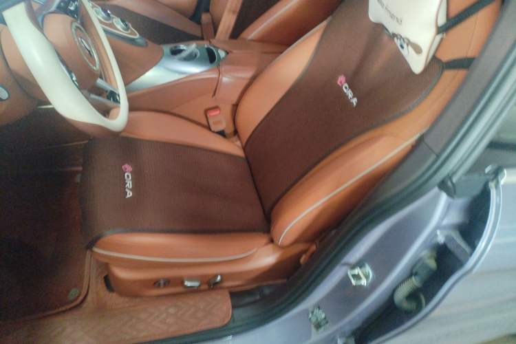 Used ORA Lightning Cat 2022 555 km Luxury Edition Left Front Seat