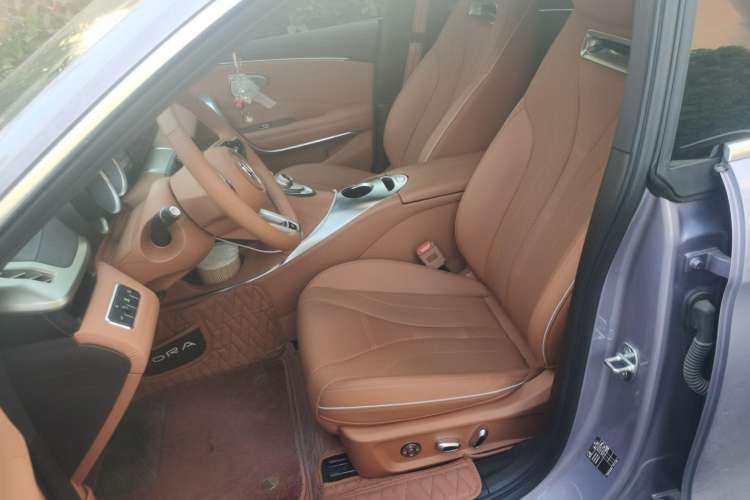 Used ORA Lightning Cat 2022 555 km Luxury Edition Left Front Seat