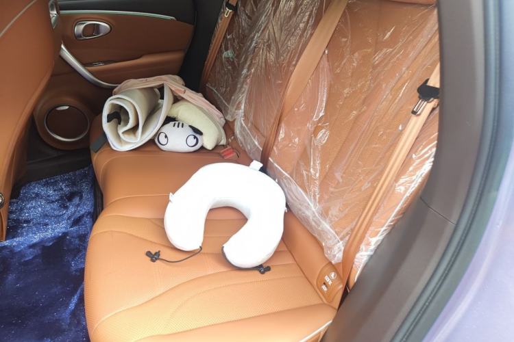 Used ORA Lightning Cat 2022 555 km Luxury Edition Left Rear Seat