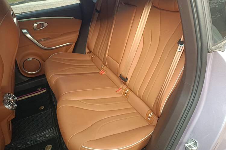 Used ORA Lightning Cat 2022 555 km Luxury Edition Left Rear Seat