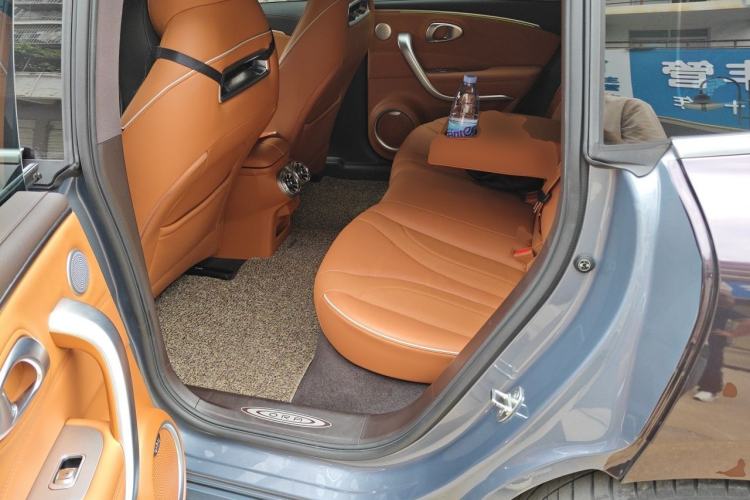 Used ORA Lightning Cat 2022 555 km Luxury Edition Left Rear Seat