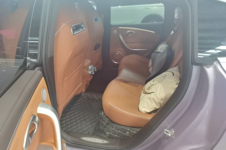 Used ORA Lightning Cat 2022 555 km Luxury Edition Left Rear Seat
