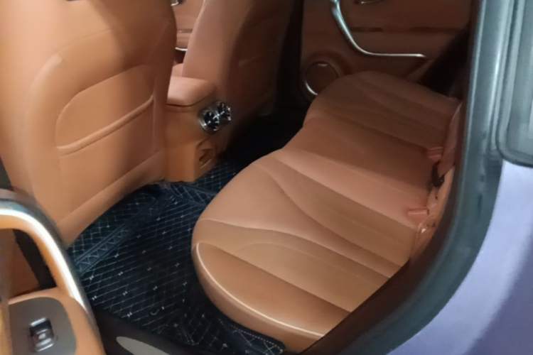 Used ORA Lightning Cat 2022 555 km Luxury Edition Left Rear Seat