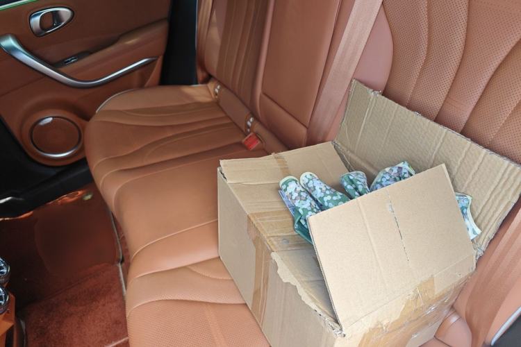 Used ORA Lightning Cat 2022 555 km Luxury Edition Left Rear Seat