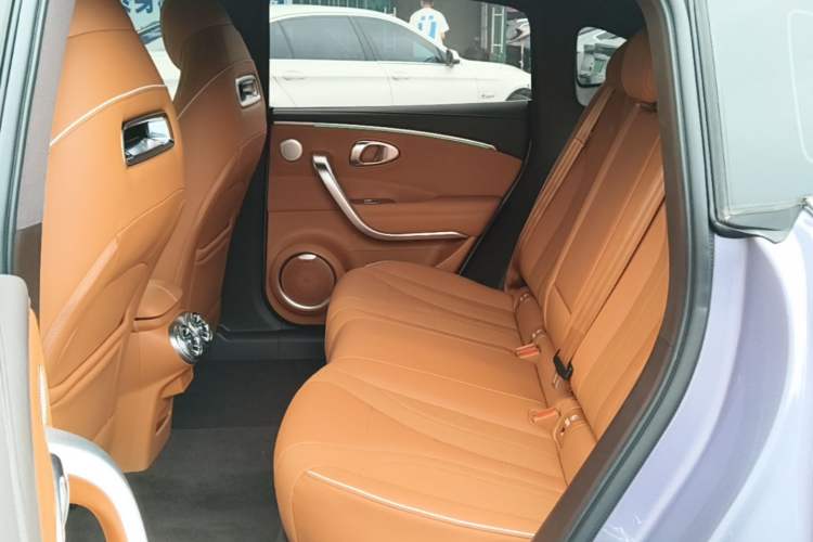 Used ORA Lightning Cat 2022 555 km Luxury Edition Left Rear Seat