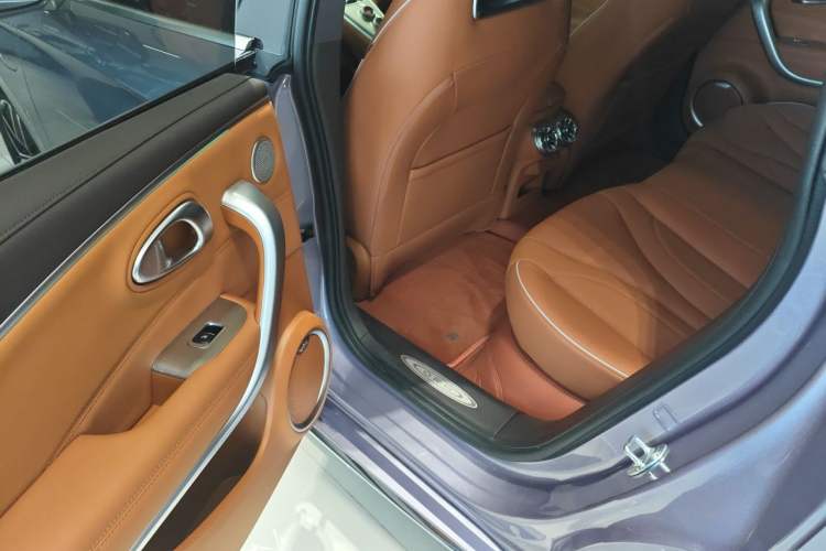 Used ORA Lightning Cat 2022 555 km Luxury Edition Left Rear Seat