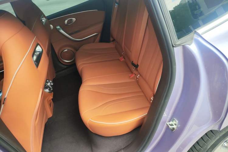 Used ORA Lightning Cat 2022 555 km Luxury Edition Left Rear Seat