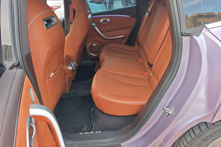 Used ORA Lightning Cat 2022 555 km Luxury Edition Left Rear Seat